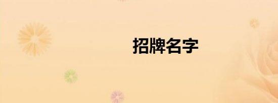 招牌名字