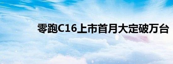 零跑C16上市首月大定破万台