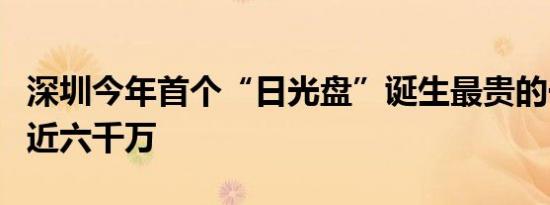深圳今年首个“日光盘”诞生最贵的一套卖到近六千万