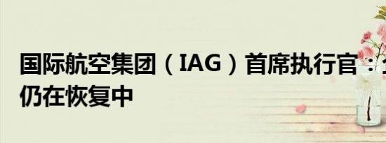国际航空集团（IAG）首席执行官：企业差旅仍在恢复中