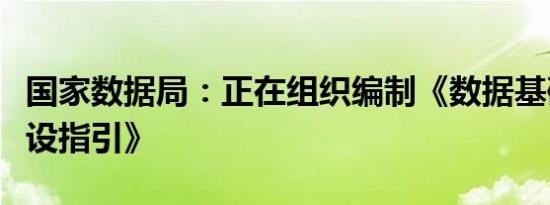 国家数据局：正在组织编制《数据基础设施建设指引》
