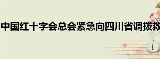 中国红十字会总会紧急向四川省调拨救灾物资