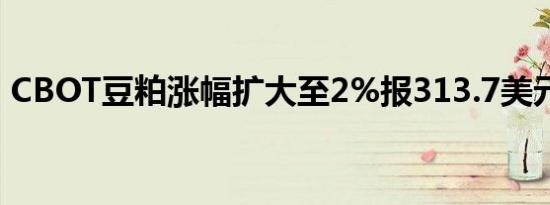 CBOT豆粕涨幅扩大至2%报313.7美元/短吨
