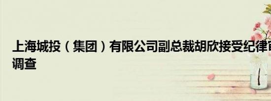 上海城投（集团）有限公司副总裁胡欣接受纪律审查和监察调查