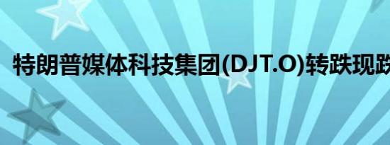 特朗普媒体科技集团(DJT.O)转跌现跌0.5%
