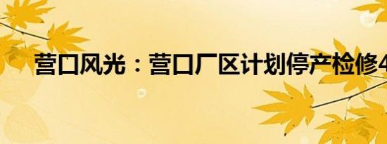 营口风光：营口厂区计划停产检修45天