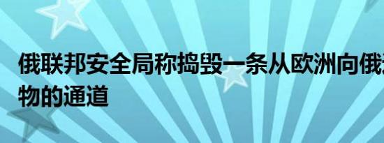 俄联邦安全局称捣毁一条从欧洲向俄运送爆炸物的通道