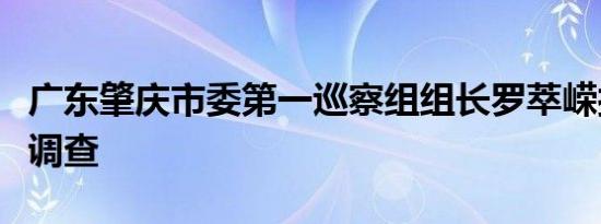 广东肇庆市委第一巡察组组长罗萃嵘接受审查调查