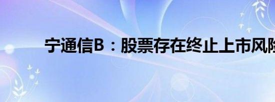 宁通信B：股票存在终止上市风险