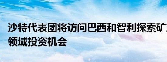 沙特代表团将访问巴西和智利探索矿产和工业领域投资机会