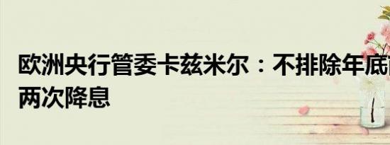 欧洲央行管委卡兹米尔：不排除年底前还会有两次降息
