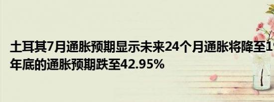 土耳其7月通胀预期显示未来24个月通胀将降至19.32%截至年底的通胀预期跌至42.95%