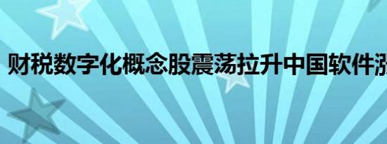 财税数字化概念股震荡拉升中国软件涨超9%