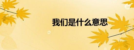 我们是什么意思
