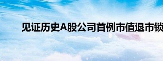 见证历史A股公司首例市值退市锁定