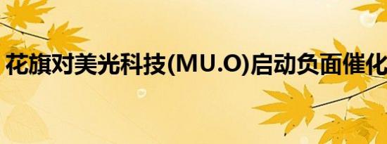 花旗对美光科技(MU.O)启动负面催化剂观察