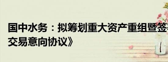 国中水务：拟筹划重大资产重组暨签署《股权交易意向协议》