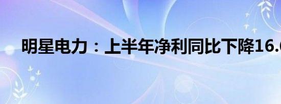 明星电力：上半年净利同比下降16.63%