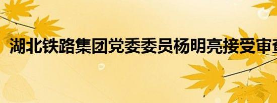 湖北铁路集团党委委员杨明亮接受审查调查