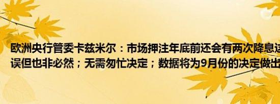 欧洲央行管委卡兹米尔：市场押注年底前还会有两次降息这并非完全错误但也非必然；无需匆忙决定；数据将为9月份的决定做出铺垫
