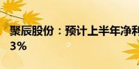 聚辰股份：预计上半年净利润同比增长124.93%