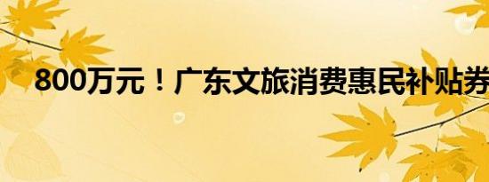 800万元！广东文旅消费惠民补贴券来了