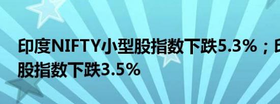 印度NIFTY小型股指数下跌5.3%；印度中型股指数下跌3.5%