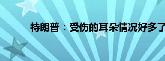 特朗普：受伤的耳朵情况好多了