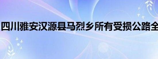 四川雅安汉源县马烈乡所有受损公路全部抢通