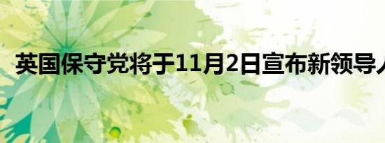 英国保守党将于11月2日宣布新领导人名单