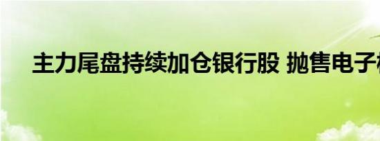 主力尾盘持续加仓银行股 抛售电子板块