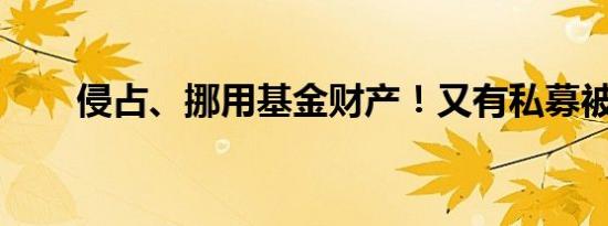 侵占、挪用基金财产！又有私募被罚