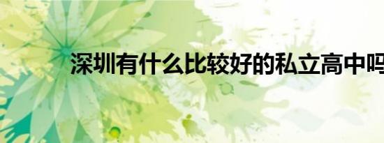 深圳有什么比较好的私立高中吗
