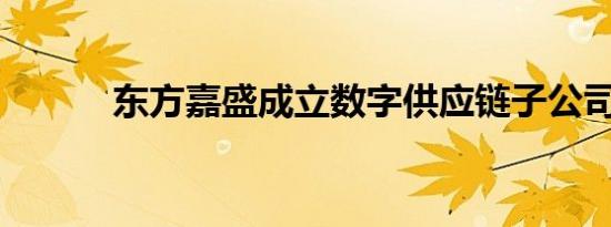 东方嘉盛成立数字供应链子公司