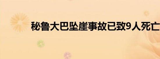 秘鲁大巴坠崖事故已致9人死亡