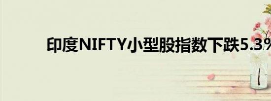 印度NIFTY小型股指数下跌5.3%