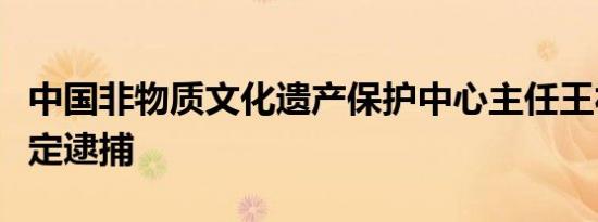 中国非物质文化遗产保护中心主任王福州被决定逮捕