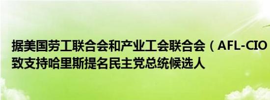 据美国劳工联合会和产业工会联合会（AFL-CIO）声明：一致支持哈里斯提名民主党总统候选人