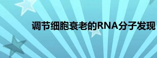 调节细胞衰老的RNA分子发现
