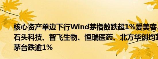 核心资产单边下行Wind茅指数跌超1%爱美客、阳光电源、石头科技、智飞生物、恒瑞医药、北方华创均跌超2%贵州茅台跌逾1%