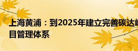 上海黄浦：到2025年建立完善碳达峰重点项目管理体系