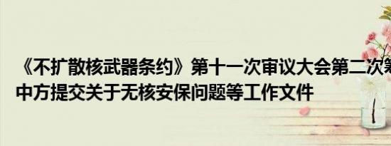 《不扩散核武器条约》第十一次审议大会第二次筹备会召开 中方提交关于无核安保问题等工作文件