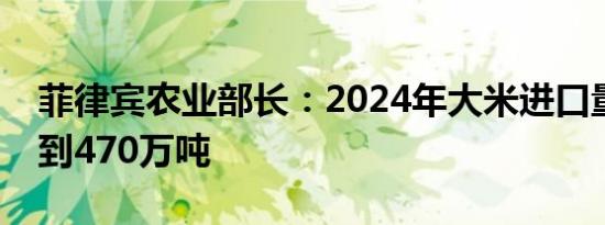 菲律宾农业部长：2024年大米进口量不会达到470万吨