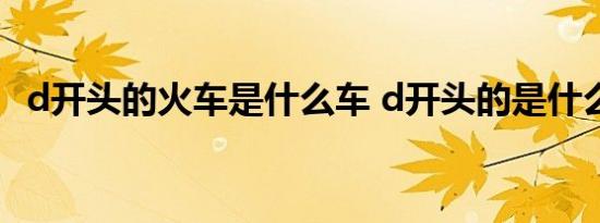 d开头的火车是什么车 d开头的是什么火车