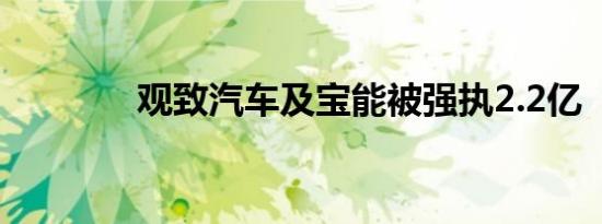 观致汽车及宝能被强执2.2亿
