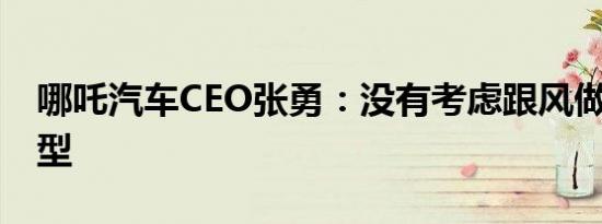 哪吒汽车CEO张勇：没有考虑跟风做MPV车型