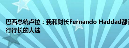 巴西总统卢拉：我和财长Fernando Haddad都尚未决定央行行长的人选