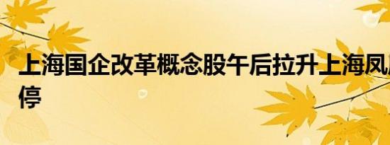 上海国企改革概念股午后拉升上海凤凰拉升涨停
