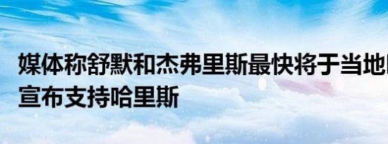 媒体称舒默和杰弗里斯最快将于当地时间周一宣布支持哈里斯