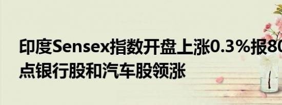 印度Sensex指数开盘上涨0.3%报80724.30点银行股和汽车股领涨